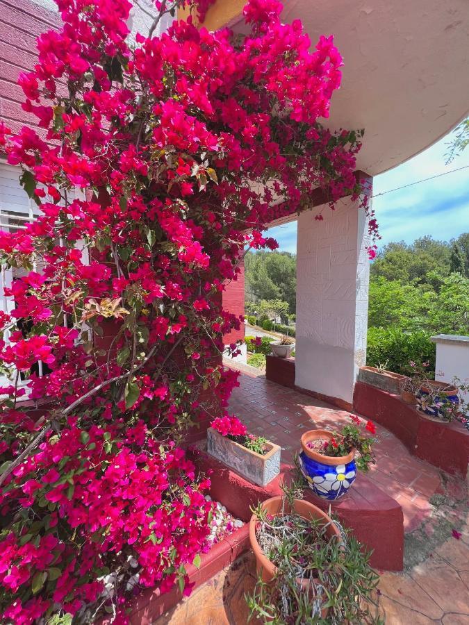 Apartamentos Famara Λορέτ Ντε Μαρ Εξωτερικό φωτογραφία
